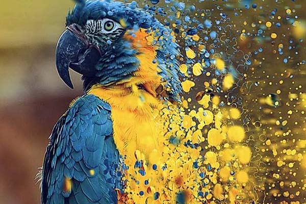 Editable Dispersion Photoshop Brushes – Free & Premium PSD, ATN, ABR, Vector, EPS, Formats Download
